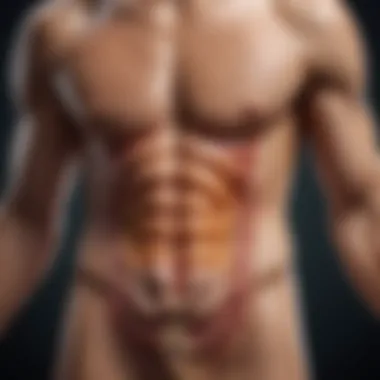 The Role of Gut Microbiota in Body Odor Digestive system illustration showing gut microbiota