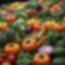 Colorful array of fresh vegetables