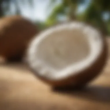 Nutritional Composition of Coconut Oil Nutritional composition of coconut oil