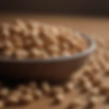 Myths and Facts about Peanuts Visual representation of myths vs facts about peanut consumption