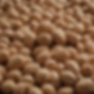 Nutritional Breakdown of Peanuts Nutritional breakdown of peanuts highlighting sugar content