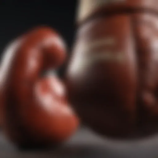 Close-up view of premium boxing gloves showcasing the intricate stitching and material quality