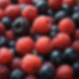 Colorful array of berries rich in antioxidants