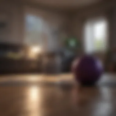 Showcasing home workout setup