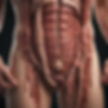Illustration of gastrointestinal tract highlighting areas of concern