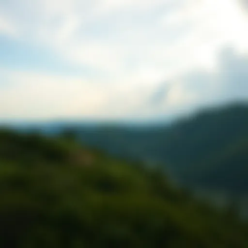 A serene landscape symbolizing mental well-being
