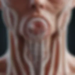 Illustration of Miralax molecules at work in the digestive system