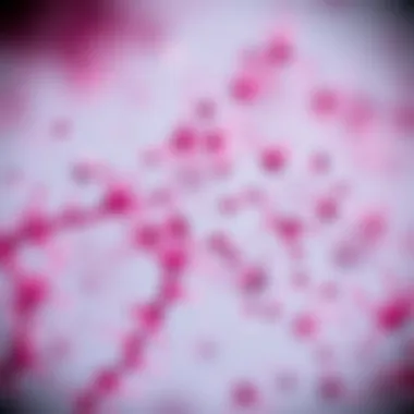 Microscopic view of semen analysis