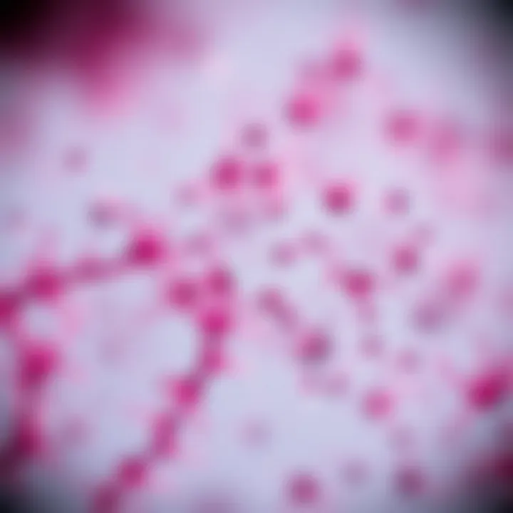 Microscopic view of semen analysis