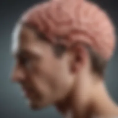 Understanding Head Pain Locations An illustration of a brain with highlighted pain points