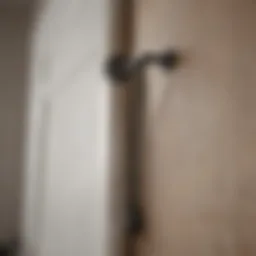An over door pull-up bar in a modern home setting