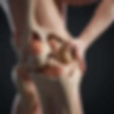 Knee Joint Anatomy and Function Anatomical diagram showing knee joint structure
