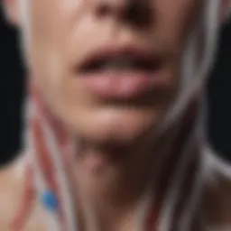 Anatomy of the throat highlighting the area of discomfort