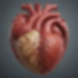 A detailed infographic showing the normal heart rate ranges for different age groups