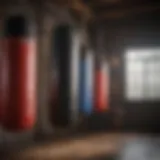A diverse range of punching bags showcasing different weights and designs.