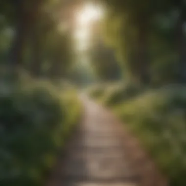 A serene park path surrounded by nature, illustrating a perfect walking environment.