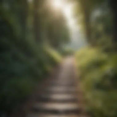Embracing Nature While Walking A scenic walking trail surrounded by nature